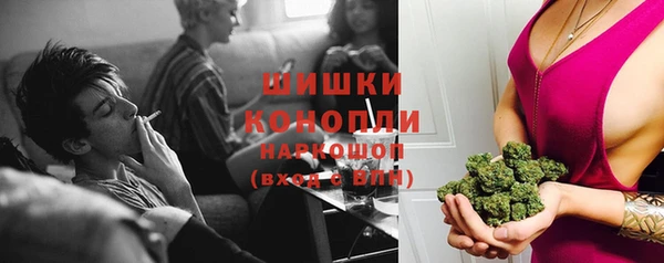 трава Алзамай