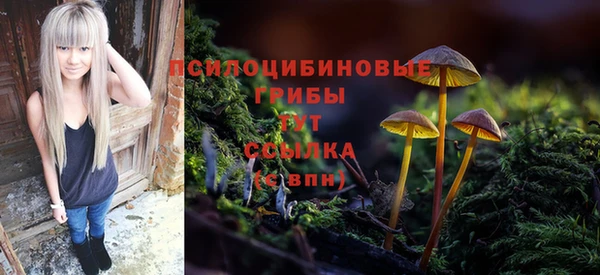 трава Алзамай