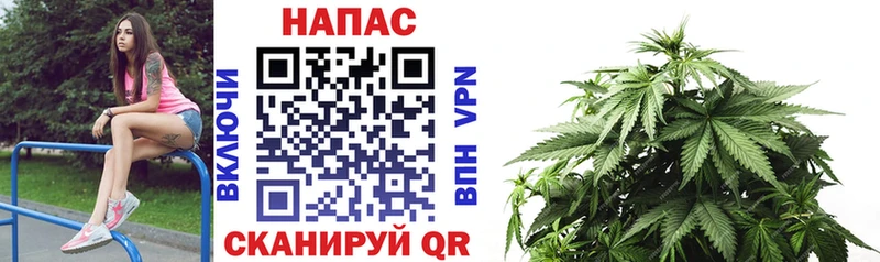 Марихуана Amnesia Невьянск